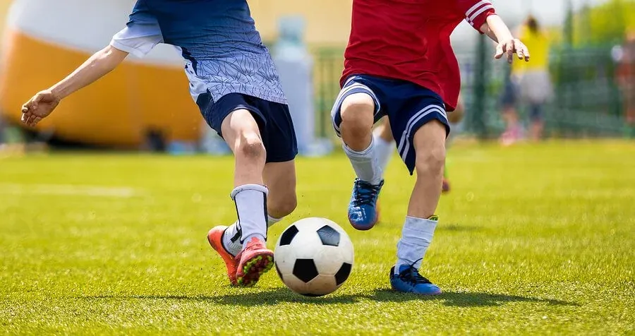 Ballon de rugby et terrain